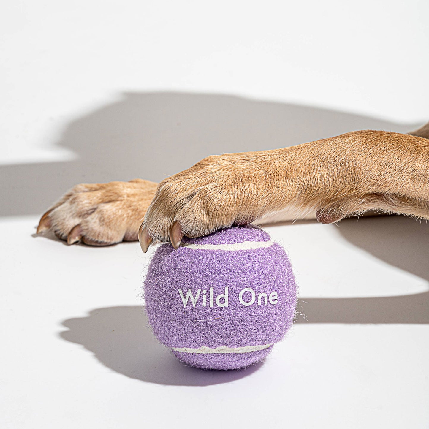 4-Pack Dog Tennis Balls – Extra Bouncy, Durable, and Pet-Safe for Endless Playtime