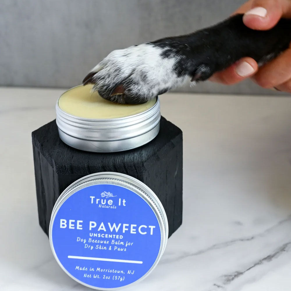 Bee Pawfect Organic Dog Balm – Soothing Relief for Dry Paws Skin