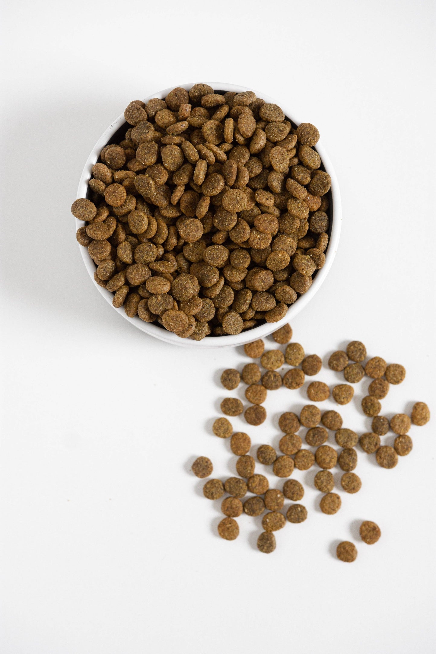 Bundle x Joy Golden Superfood Dry Dog Food - Real Chicken