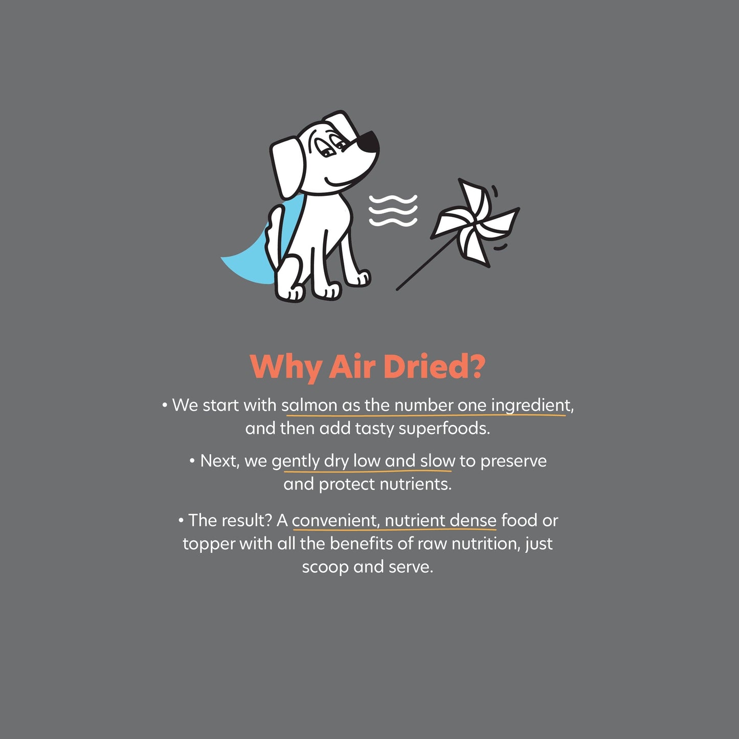 Shameless Pets’ Hooked on Salmon Air-Dried Complete & Balanced Food or Topper