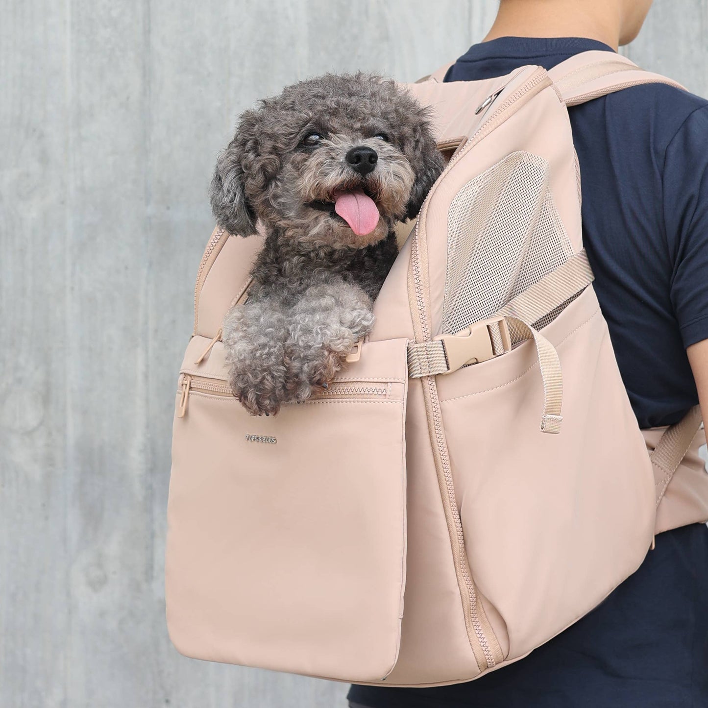 Traveler Pet Carrier Backpack - Versatile, Modern, and Functional