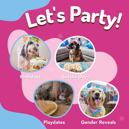 Book cover with images of dogs celebrating birthdays, gotcha days, playdates, and gender reveals on a pink and blue background.