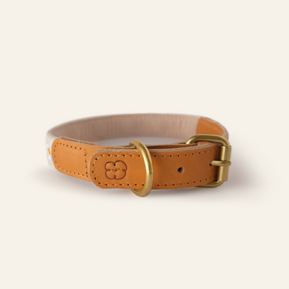 Handcrafted Brown Leather Dog Collar with Delicate Daisy Embroidery