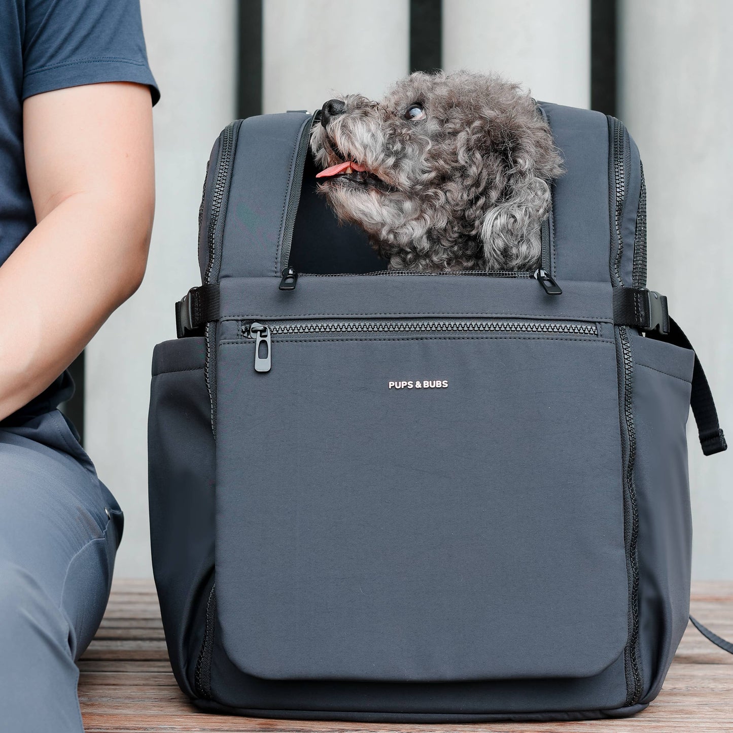 Traveler Pet Carrier Backpack - Versatile, Modern, and Functional