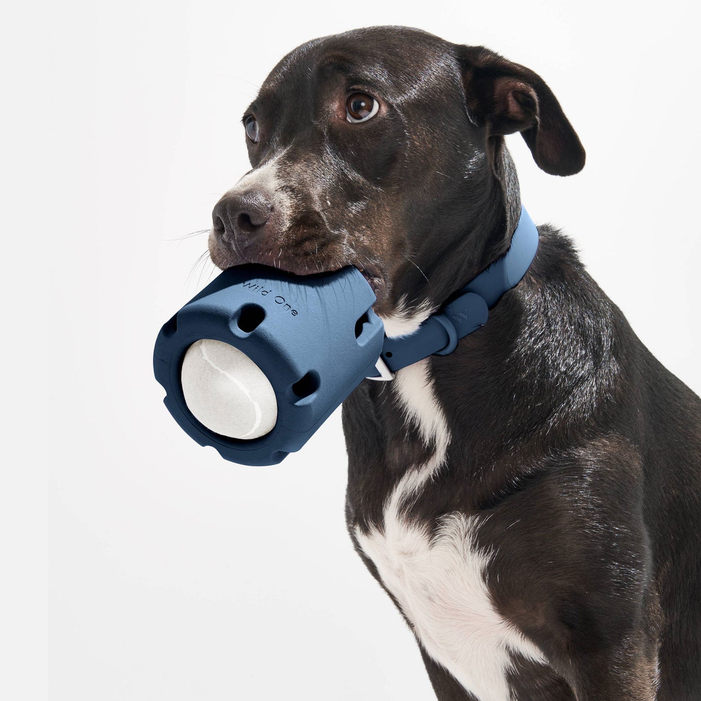 Tennis Tumble Interactive Dog Toy – Engaging Puzzle Challenge for Medium & Large Dogs