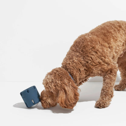 Tennis Tumble Interactive Dog Toy – Engaging Puzzle Challenge for Medium & Large Dogs