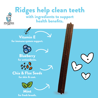 Blueberry & Mint Dog Dental Sticks - Immune Boosting, Teeth Cleaning, All-Natural