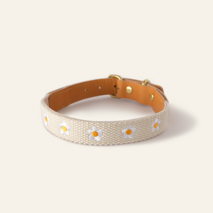 Handcrafted Brown Leather Dog Collar with Delicate Daisy Embroidery