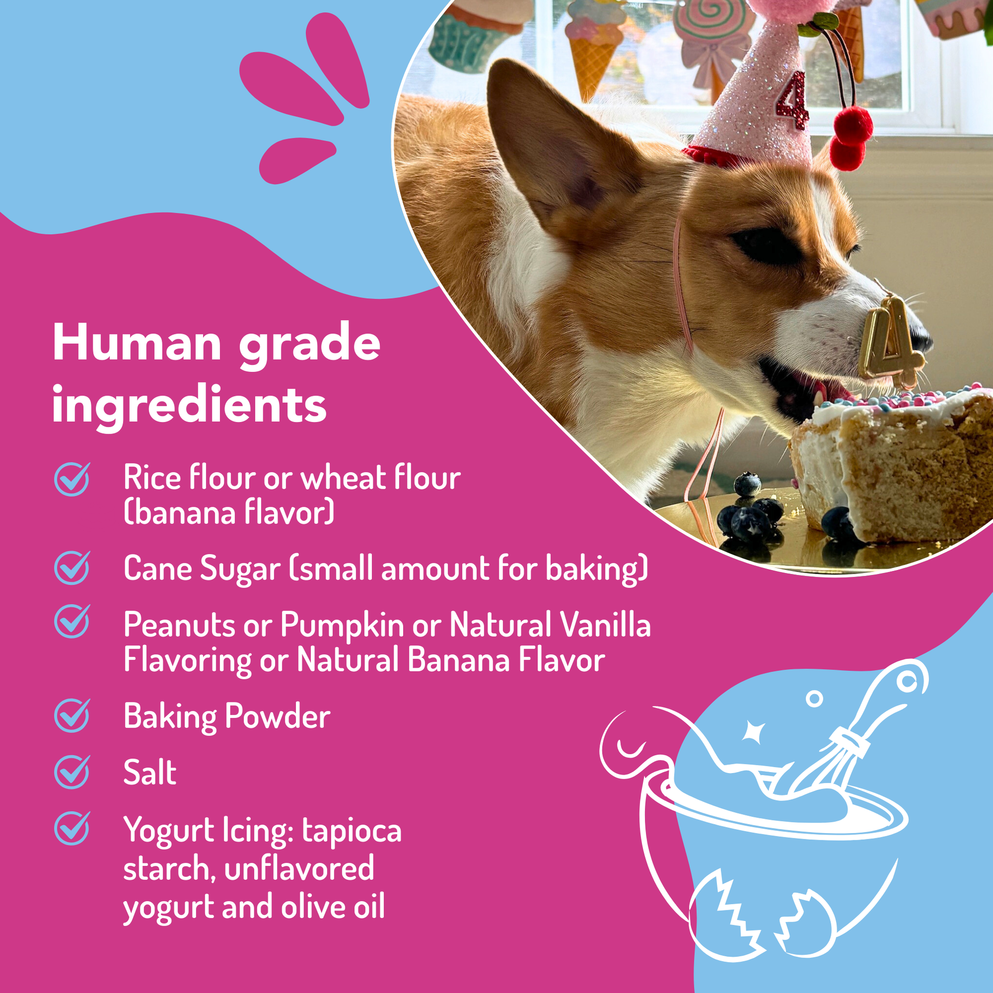 Dog celebrating a birthday with a cake, surrounded by human-grade ingredients list 