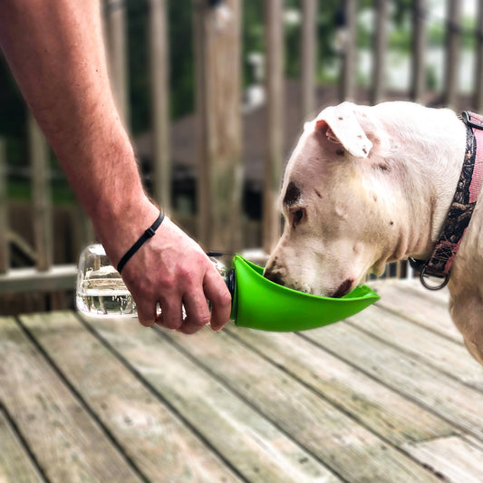 Fold-A-Bowl Portable Pet Water Bottle & Bowl - The Ultimate Hydration Solution for Active Dogs