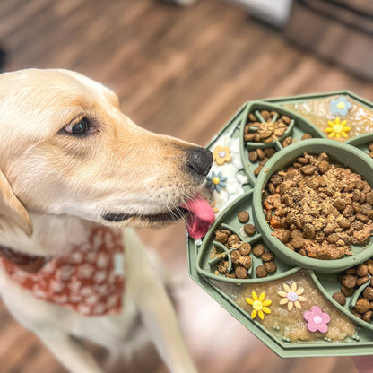 Interactive Dog Enrichment Feeder - Make Mealtime Fun and Healthy